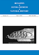 群馬県立自然史博物館研究報告 第13号 Bulletin of Gunma Museum of Natural History Number13 (2009)