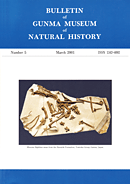 群馬県立自然史博物館研究報告 第5号 Bulletin of Gunma Museum of Natural History Number5 (2001)