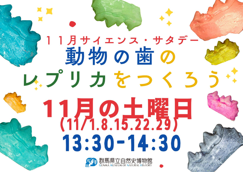 【毎週土曜日開催!!】11月サイエンス・サタデー「動物の歯のレプリカをつくろう」