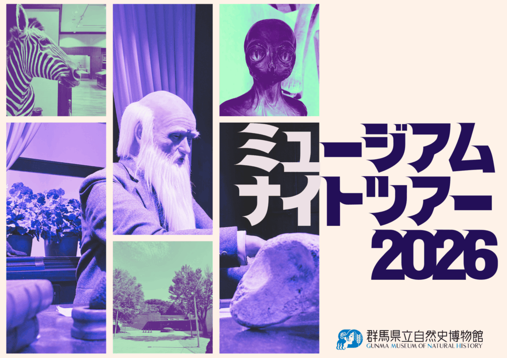 ミュージアムナイトツアー