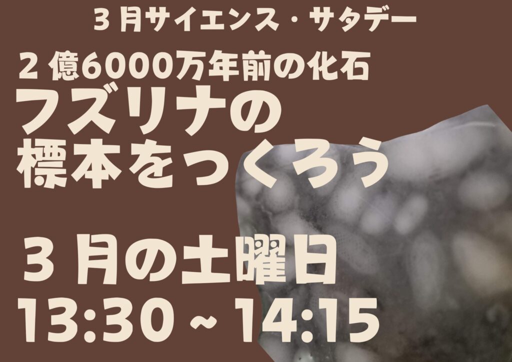 【毎週土曜日開催!!】３月サイエンス・サタデー「２億6000万年前の化石、フズリナの標本をつくろう」