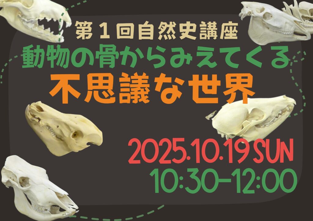 第１回自然史講座「動物の骨から見えてくる不思議な世界」