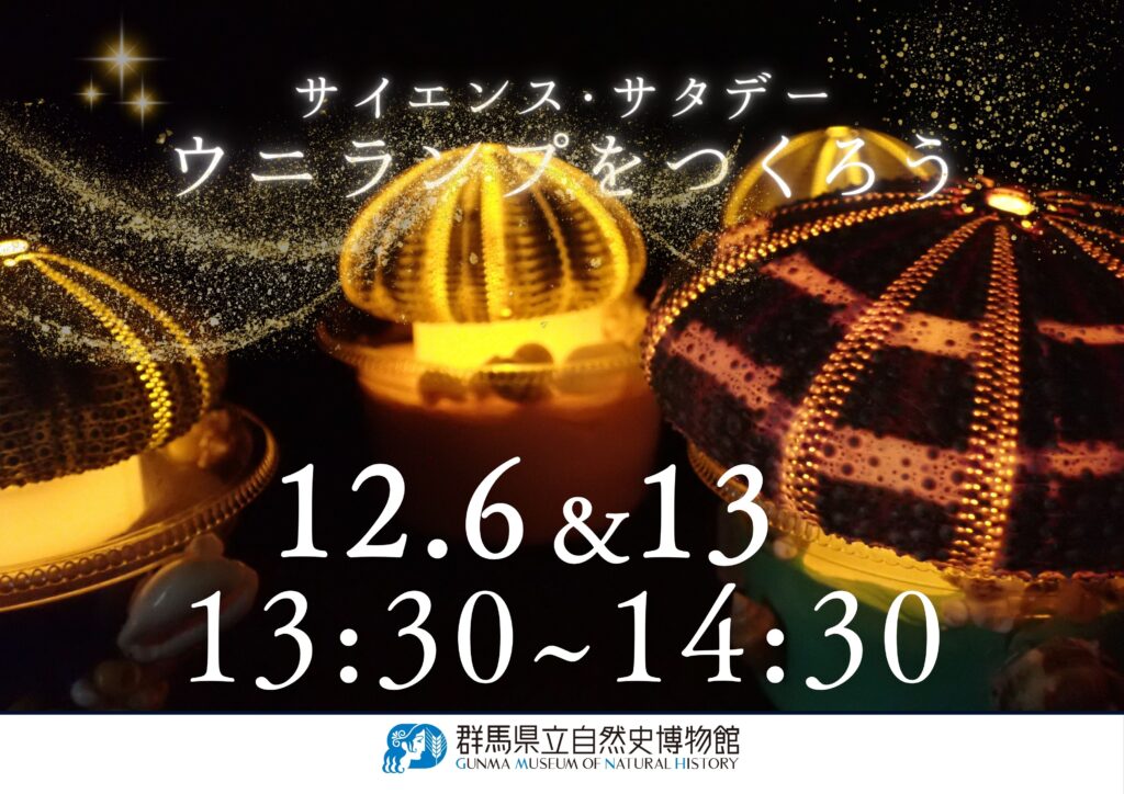 【12/6,13の土曜日開催!!】12月サイエンス・サタデー「ウニランプをつくろう」