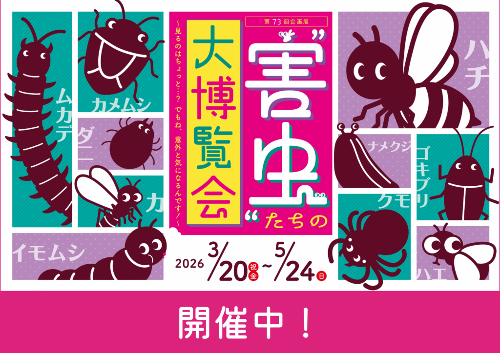 【開催中】第73回企画展　「‟害虫”たちの大博覧会～見るのはちょっと…？でもね、意外と気になるんです！～」