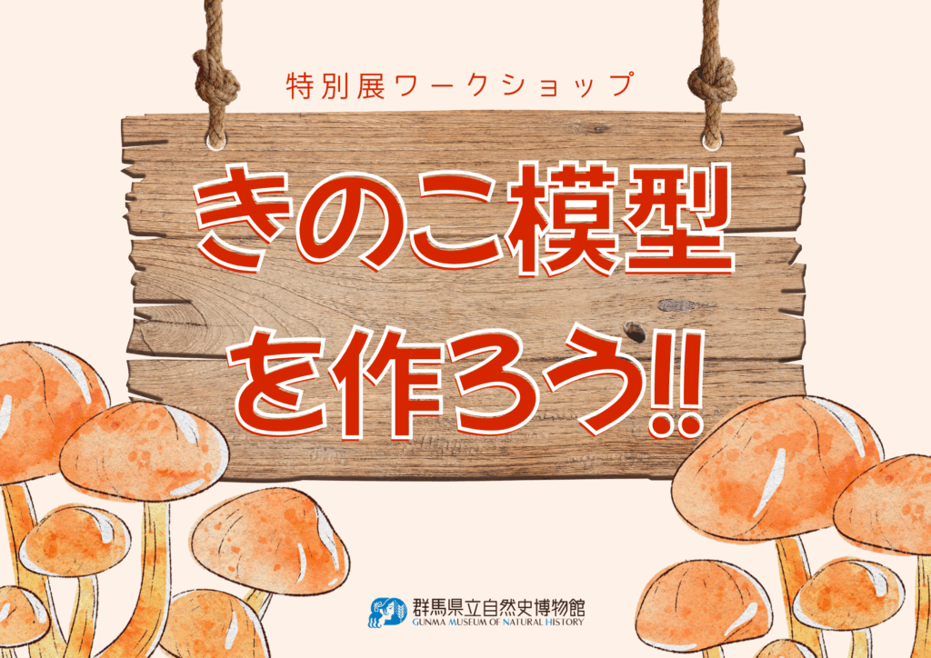 特別展ワークショップ「きのこ模型を作ろう‼」